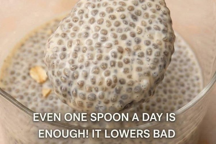Chia Seed Pudding